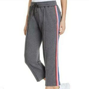 Spiritual Gangster Cropped Essential Sweatpant Gray Retro Stripe XS NWT
